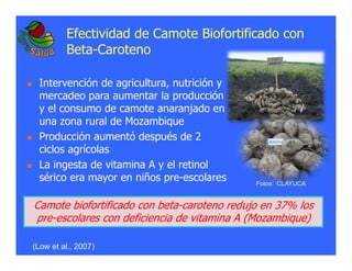 La biofortificacion: una alianza estratégica entre agricultura y nutrición para abordar la inseguridad alimentaria y las definiciones nutricionales