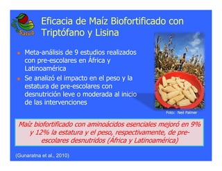 La biofortificacion: una alianza estratégica entre agricultura y nutrición para abordar la inseguridad alimentaria y las definiciones nutricionales