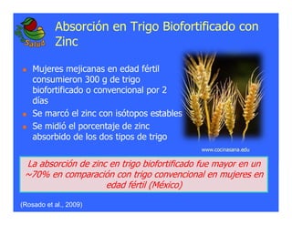 La biofortificacion: una alianza estratégica entre agricultura y nutrición para abordar la inseguridad alimentaria y las definiciones nutricionales