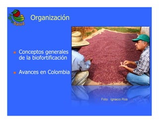 La biofortificacion: una alianza estratégica entre agricultura y nutrición para abordar la inseguridad alimentaria y las definiciones nutricionales