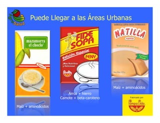 La biofortificacion: una alianza estratégica entre agricultura y nutrición para abordar la inseguridad alimentaria y las definiciones nutricionales