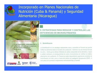 La biofortificacion: una alianza estratégica entre agricultura y nutrición para abordar la inseguridad alimentaria y las definiciones nutricionales