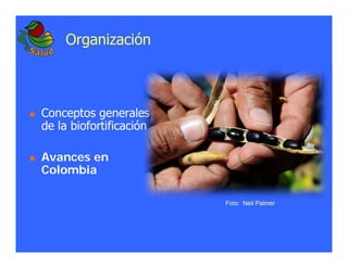 La biofortificacion: una alianza estratégica entre agricultura y nutrición para abordar la inseguridad alimentaria y las definiciones nutricionales