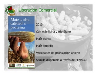La biofortificacion: una alianza estratégica entre agricultura y nutrición para abordar la inseguridad alimentaria y las definiciones nutricionales