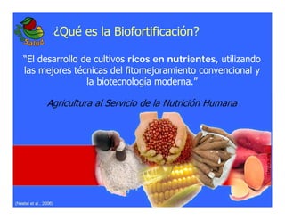La biofortificacion: una alianza estratégica entre agricultura y nutrición para abordar la inseguridad alimentaria y las definiciones nutricionales