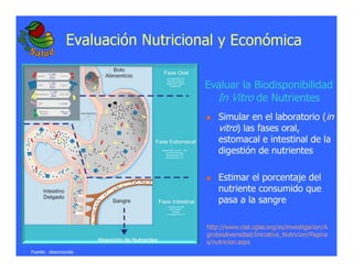 La biofortificacion: una alianza estratégica entre agricultura y nutrición para abordar la inseguridad alimentaria y las definiciones nutricionales