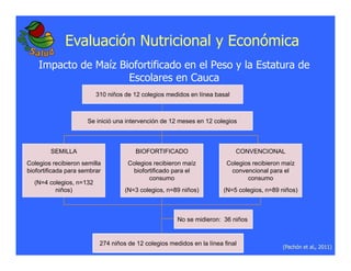 La biofortificacion: una alianza estratégica entre agricultura y nutrición para abordar la inseguridad alimentaria y las definiciones nutricionales