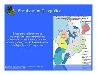 La biofortificacion: una alianza estratégica entre agricultura y nutrición para abordar la inseguridad alimentaria y las definiciones nutricionales