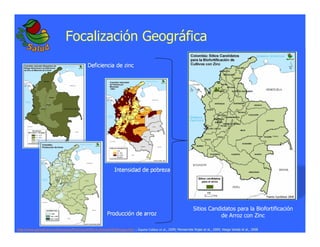 La biofortificacion: una alianza estratégica entre agricultura y nutrición para abordar la inseguridad alimentaria y las definiciones nutricionales