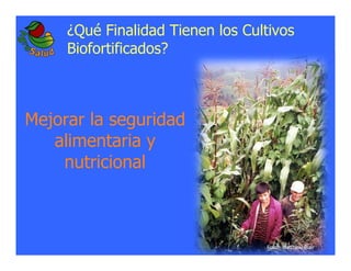 La biofortificacion: una alianza estratégica entre agricultura y nutrición para abordar la inseguridad alimentaria y las definiciones nutricionales
