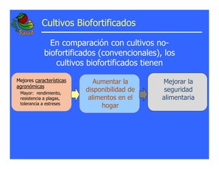 La biofortificacion: una alianza estratégica entre agricultura y nutrición para abordar la inseguridad alimentaria y las definiciones nutricionales