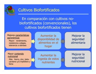 La biofortificacion: una alianza estratégica entre agricultura y nutrición para abordar la inseguridad alimentaria y las definiciones nutricionales