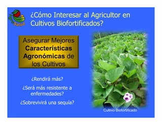 La biofortificacion: una alianza estratégica entre agricultura y nutrición para abordar la inseguridad alimentaria y las definiciones nutricionales