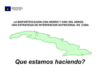 La biofortificacion con hierro y cinc del arroz: Una estrategia de intervención nutricional en desarrollo en Cuba
