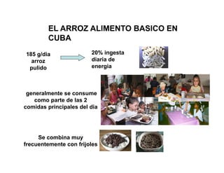 La biofortificacion con hierro y cinc del arroz: Una estrategia de intervención nutricional en desarrollo en Cuba