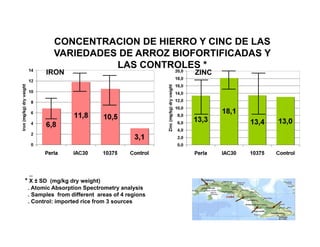La biofortificacion con hierro y cinc del arroz: Una estrategia de intervención nutricional en desarrollo en Cuba