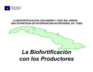 La biofortificacion con hierro y cinc del arroz: Una estrategia de intervención nutricional en desarrollo en Cuba
