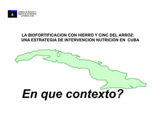 La biofortificacion con hierro y cinc del arroz: Una estrategia de intervención nutricional en desarrollo en Cuba