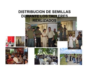 La biofortificacion con hierro y cinc del arroz: Una estrategia de intervención nutricional en desarrollo en Cuba