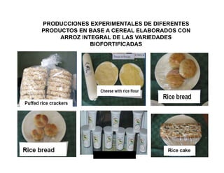 La biofortificacion con hierro y cinc del arroz: Una estrategia de intervención nutricional en desarrollo en Cuba