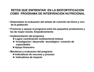 La biofortificacion con hierro y cinc del arroz: Una estrategia de intervención nutricional en desarrollo en Cuba