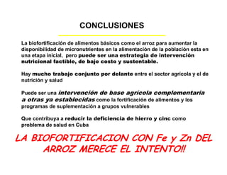 La biofortificacion con hierro y cinc del arroz: Una estrategia de intervención nutricional en desarrollo en Cuba