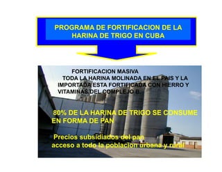 La biofortificacion con hierro y cinc del arroz: Una estrategia de intervención nutricional en desarrollo en Cuba