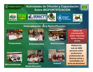 Biofortificación: Experiencia de Panamá