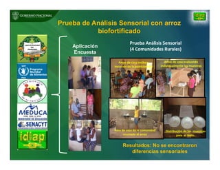 Biofortificación: Experiencia de Panamá