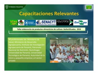 Biofortificación: Experiencia de Panamá