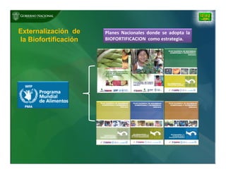 Biofortificación: Experiencia de Panamá