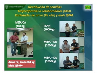 Biofortificación: Experiencia de Panamá