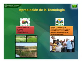 Biofortificación: Experiencia de Panamá
