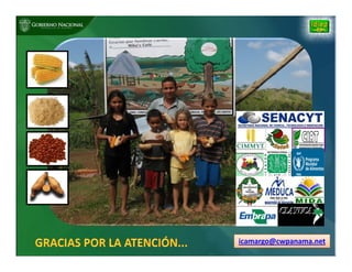 Biofortificación: Experiencia de Panamá