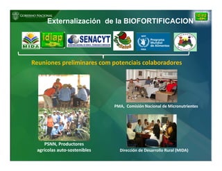 Biofortificación: Experiencia de Panamá