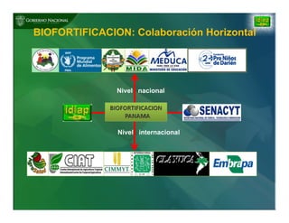 Biofortificación: Experiencia de Panamá