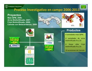 Biofortificación: Experiencia de Panamá