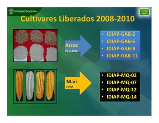 Biofortificación: Experiencia de Panamá