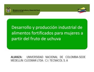 Biofortificados: experiencias de investigación en el sector agropecuario colombiano