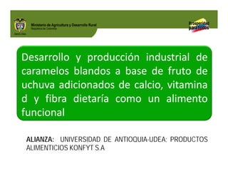 Biofortificados: experiencias de investigación en el sector agropecuario colombiano