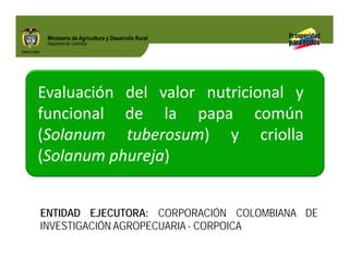 Biofortificados: experiencias de investigación en el sector agropecuario colombiano