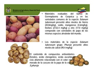 Biofortificados: experiencias de investigación en el sector agropecuario colombiano