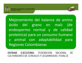 Biofortificados: experiencias de investigación en el sector agropecuario colombiano