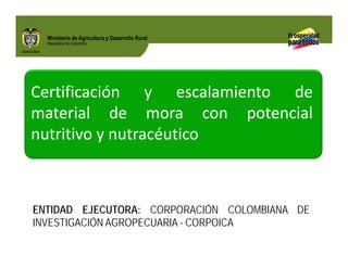 Biofortificados: experiencias de investigación en el sector agropecuario colombiano