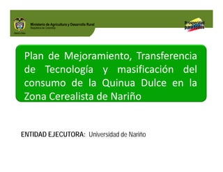 Biofortificados: experiencias de investigación en el sector agropecuario colombiano