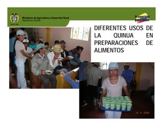 Biofortificados: experiencias de investigación en el sector agropecuario colombiano