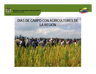 Biofortificados: experiencias de investigación en el sector agropecuario colombiano