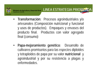 Biofortificados: experiencias de investigación en el sector agropecuario colombiano