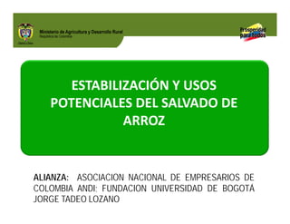 Biofortificados: experiencias de investigación en el sector agropecuario colombiano