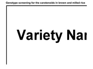 Genotype screening for the carotenoids in brown and milled rice
 